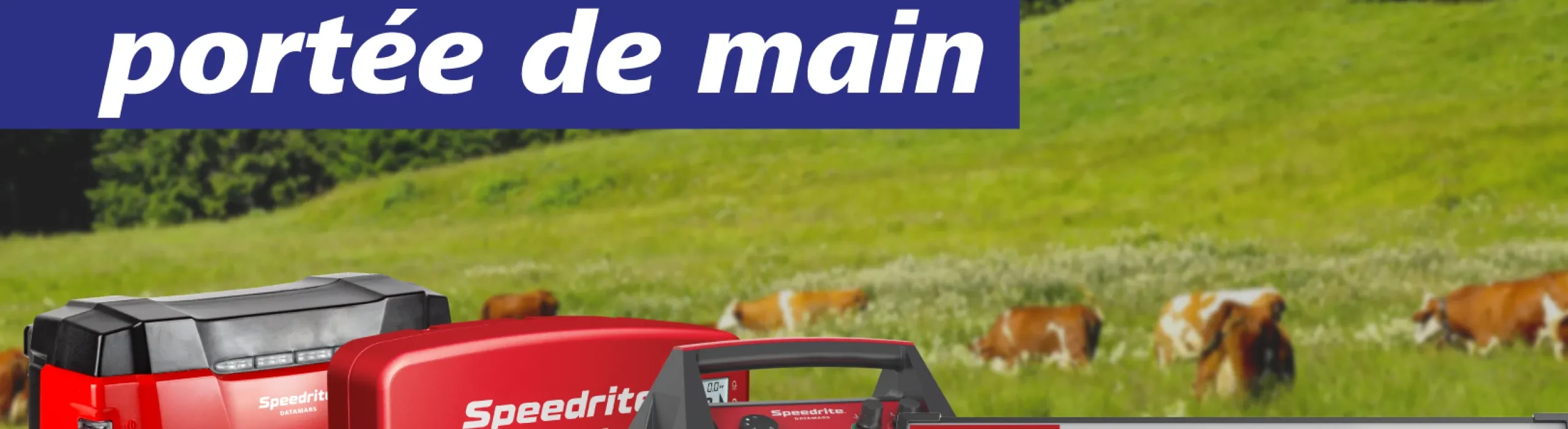 Spe-France-Web-Banner-Mobile-version